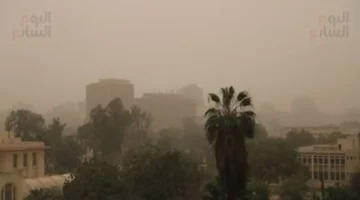 هيئة الأرصاد الجوية تحذر من عاصفة ترابية شديدة تضرب البلاد خلال ساعات